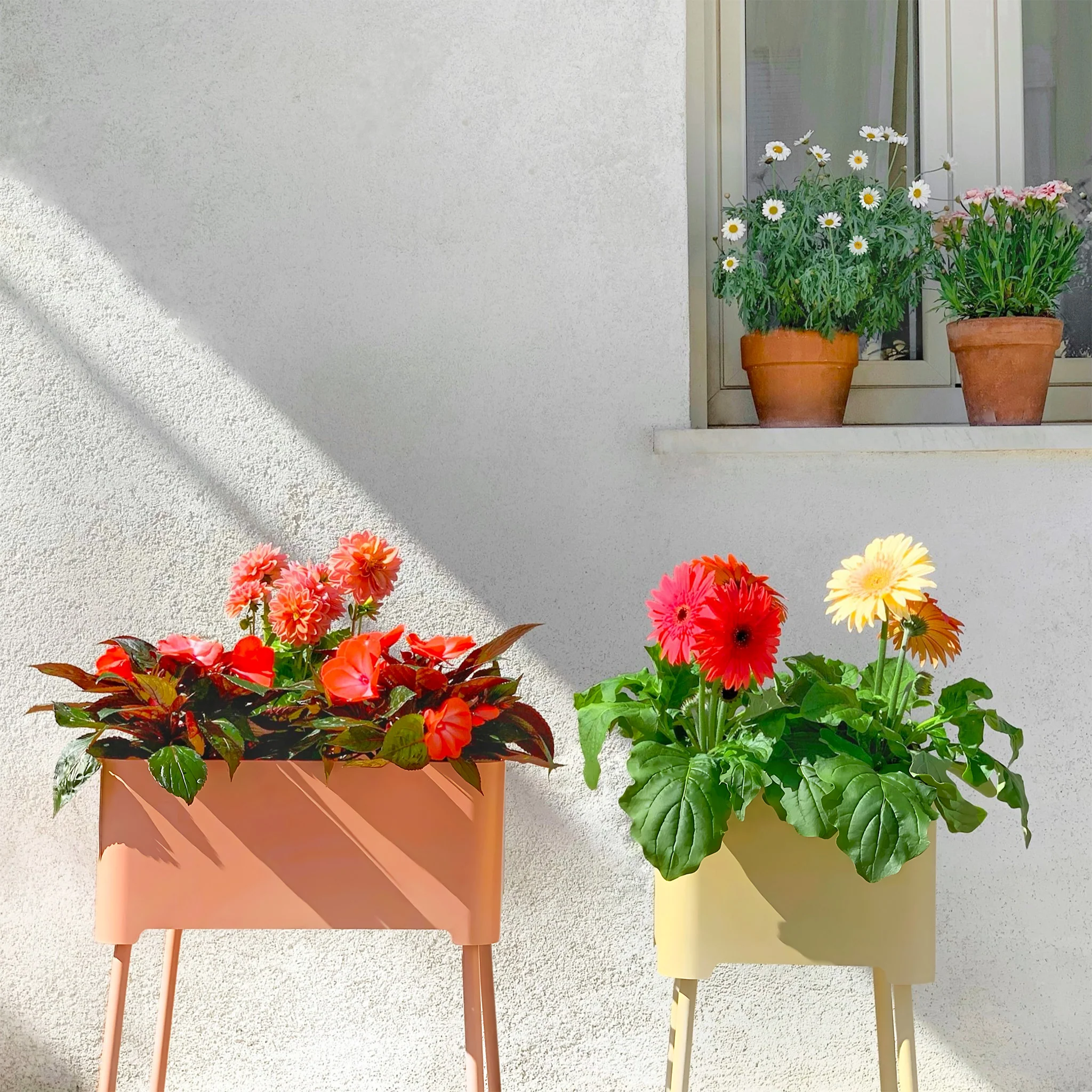 Miniatura 12