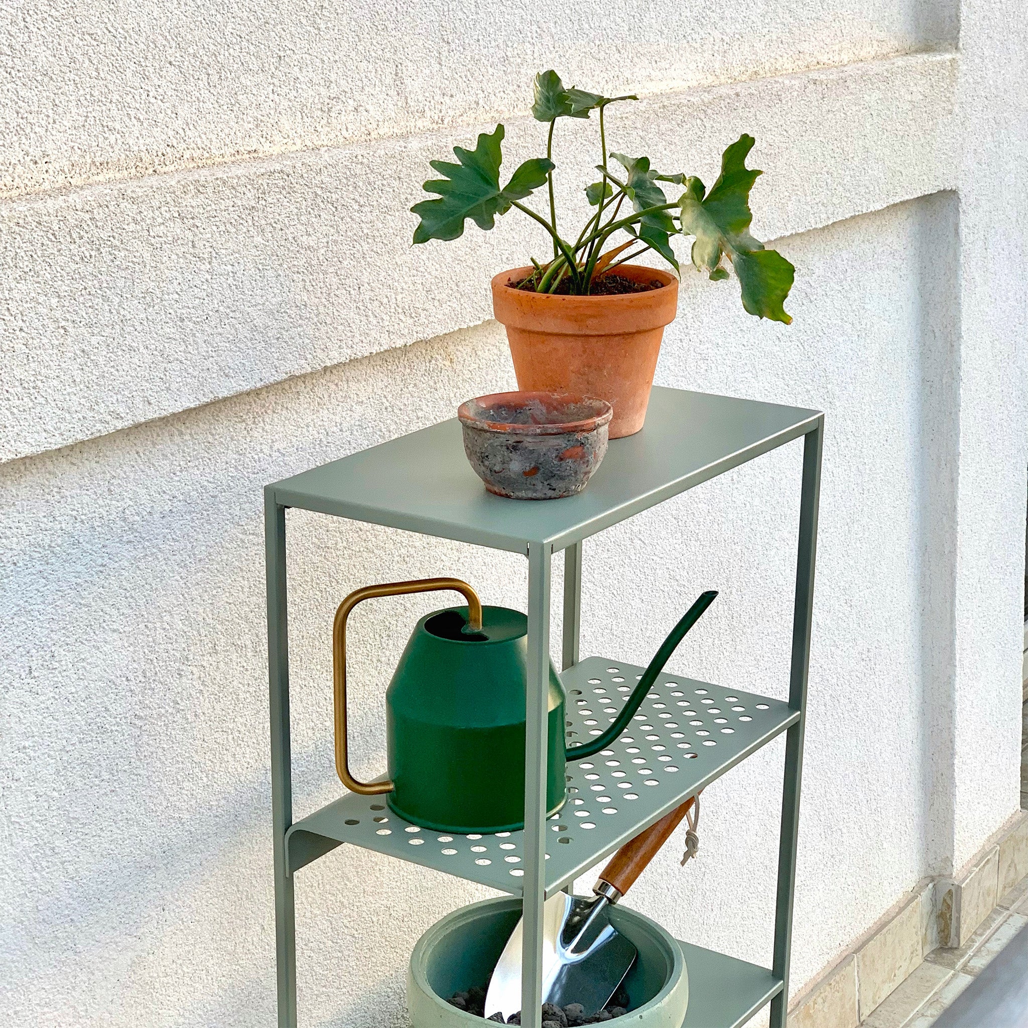Miniatura 8